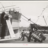 Stevedores loading cotton on to the freighter. Port of Houston, Texas