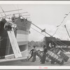 Stevedores loading cotton on to the freighter. Port of Houston, Texas