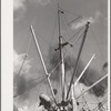 Loading of cotton for export. Notice man operating winch. Port of Houston, Texas