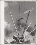 Loading of cotton for export. Notice man operating winch. Port of Houston, Texas