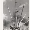 Loading of cotton for export. Notice man operating winch. Port of Houston, Texas