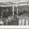 Interior of cotton compress and warehouse. Houston, Texas
