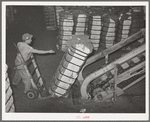 Shoving a bale of cotton onto conveyor at compress. Houston, Texas