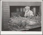 Worker in feed mill taking up an armload of fodder which will be ground for feed. Taylor, Texas