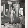 Proprietor of feed mill at hopper where ground feed pours into sack. Taylor, Texas