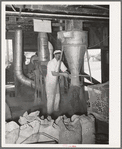 Proprietor of feed mill at hopper where ground feed pours into sack. Taylor, Texas