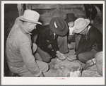 Men and boys examining seed at Gonzales County Fair. Gonzales, Texas