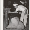 Proprietor of feed mill weighing sacks of feed. Taylor, Texas