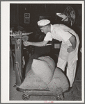 Proprietor of feed mill weighing sacks of feed. Taylor, Texas