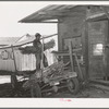Farmer unloading a trailer of corn at feed mill. Taylor, Texas