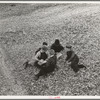 Children playing in the waste in the gin yard on their way home from school. West, Texas