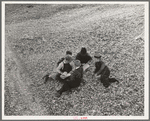 Children playing in the waste in the gin yard on their way home from school. West, Texas