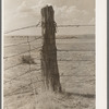 Corner post on barbed wire fence. Ranch near Marfa, Texas