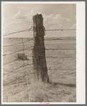 Corner post on barbed wire fence. Ranch near Marfa, Texas