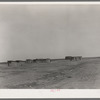 Homes of day laborers on large farm near Ralls, Texas. There are 4900 acres in this farm. Nine tractors are used