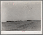 Homes of day laborers on large farm near Ralls, Texas. There are 4900 acres in this farm. Nine tractors are used