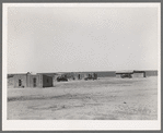 Homes of day laborers on large farm near Ralls, Texas. There are 4900 acres in this farm. Nine tractors are used