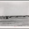 Homes of day laborers on large farm near Ralls, Texas. There are 4900 acres in this farm. Nine tractors are used