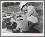 Cook of the SMS Ranch frying meat at chuck wagon on ranch near Spur, Texas