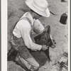 Day laborer adjusting plow point on tractor. Large farm near Ralls, Texas