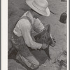 Day laborer adjusting plow point on tractor. Large farm near Ralls, Texas