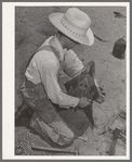 Day laborer adjusting plow point on tractor. Large farm near Ralls, Texas