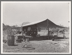 Chuck wagon and tarpaulin. Ranch near Spur, Texas