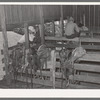 Saddle room. SMS Ranch, Spur, Texas