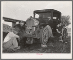 Migrant steeple-jack dropping the pan of his automobile before replacing burned-out bearing. His father and wife are also shown. When he secures a job, the entire family, consisting of his father and mother, wife and sister, all help with the painting