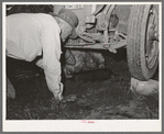 Migrant steeple-jack removing the crank case from his automobile. Near Prague, Oklahoma. When he secures a job, the entire family, consisting of his father and mother, wife and sister, all help with the painting