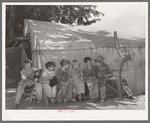 Sons of day laborers. Some of their fathers were agricultural workers and some were dispossessed tenant farmers now on WPA (Works Progress Administration/Work Projects Administration)