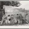 Sons of day laborers. Some of their fathers were agricultural workers and some were dispossessed tenant farmers now on WPA (Works Progress Administration/Work Projects Administration)