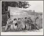 Sons of day laborers. Some of their fathers were agricultural workers and some were dispossessed tenant farmers now on WPA (Works Progress Administration/Work Projects Administration)