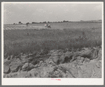 Landscape in Oklahoma showing man plowing in cotton field in background and profile of soil showing easily erodable structure in foreground. Near Warner, Okla