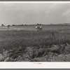 Landscape in Oklahoma showing man plowing in cotton field in background and profile of soil showing easily erodable structure in foreground. Near Warner, Oklahoma