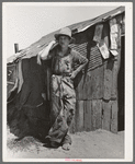 Son of day laborer living in Arkansas River bottom at Webbers Falls, Oklahoma. Muskogee County