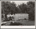 Shack home migrant workers living near Muskogee. Muskogee County, Oklahoma