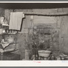 Kitchen of tenant farmer near Warner, Oklahoma