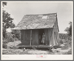 Shack of agricultural day laborer near Webbers Falls. Muskogee County, Oklahoma