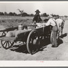 Farmer's wagon loaded with supplies leaving crossroads store in McIntosh County, Oklahoma