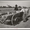 Farmer's wagon loaded with supplies leaving crossroads store in McIntosh County, Oklahoma