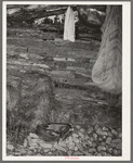 Interior of shed of agricultural day laborer. McIntosh County, Oklahoma