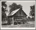 Home of migrant agricultural workers who have returned to Oklahoma from the west. They are looking for field work. McIntosh County, Oklahoma