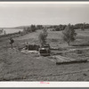 Scene along the Arkansas River bottom at Webbers Falls. Muskogee County, Oklahoma