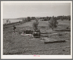 Scene along the Arkansas River bottom at Webbers Falls. Muskogee County, Oklahoma
