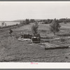 Scene along the Arkansas River bottom at Webbers Falls. Muskogee County, Oklahoma