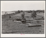 Scene along the Arkansas River bottom at Webbers Falls. Muskogee County, Oklahoma