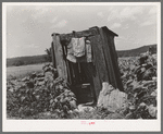 Privy of tenant farmer near Vian, Oklahoma