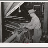 Adjusting peanut grader. Peanut-shelling plant. Comanche, Texas