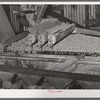 Peanut grader. Peanut-shelling plant. Comanche, Texas